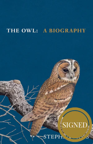 The Owl