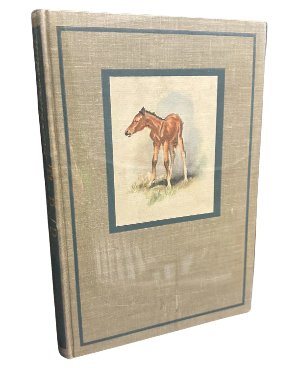 The Red Pony - Image 2