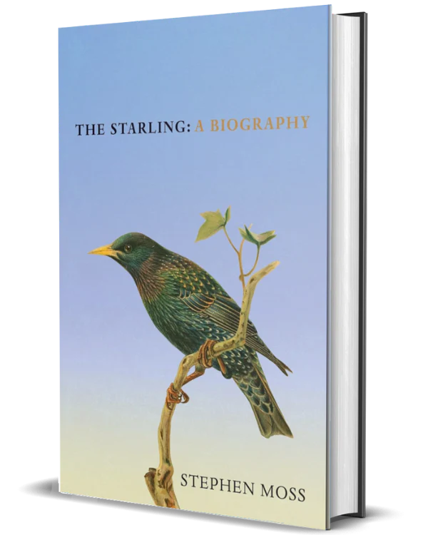 The Starling